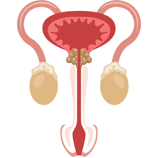 Best Prostate Cancer Treatment in India